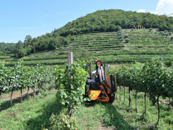 tractor mounted hedge cutter airone 80