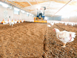 fräs för blandning av fjäderfäunderlag pavo 120