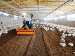 fräs för blandning av fjäderfäunderlag pavo 160
