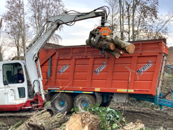 timmergrip med fast pendulerande rotator för grävmaskiner skogskranar dk 16 gr 30f
