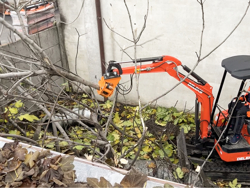 energiklipp tradklipp energiakoura med hydraulisk skogsklo gripare modell cf 10